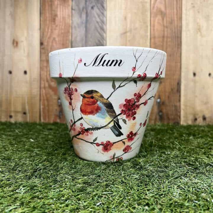 Image for 15. Mom Robin Plant Pot