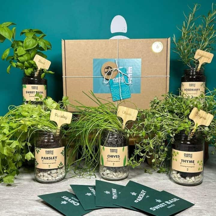 Image for 5. Grow Your Own Herbs Gift Box