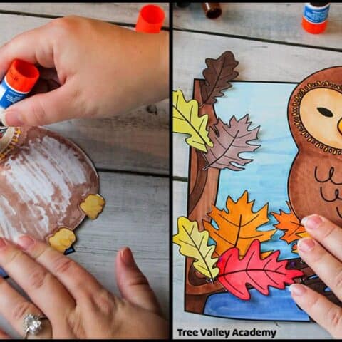 Image for 4. Fall Owl Craft by Tree Valley Academy