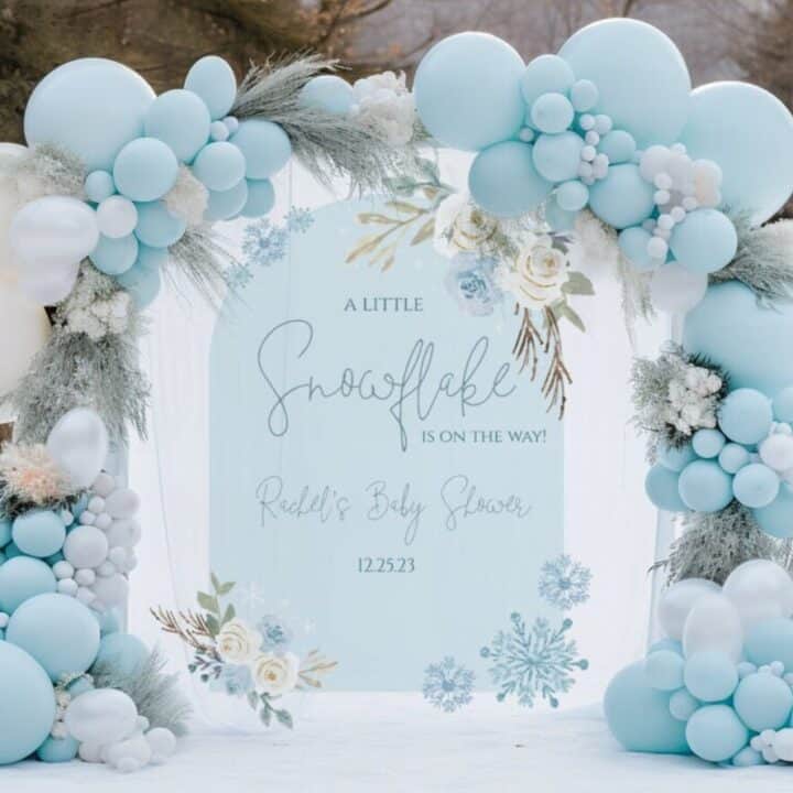 Image for 4. Winder Wonderland Backdrop For Baby Shower