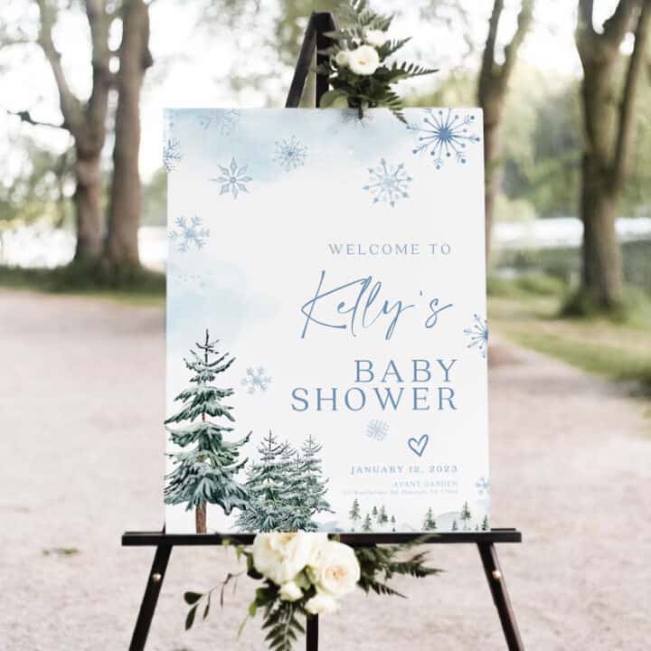 winter wonderland baby shower sign